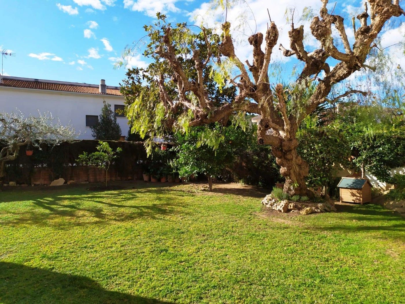 House or chalet for sale in Carrer Ripollès, La Móra
