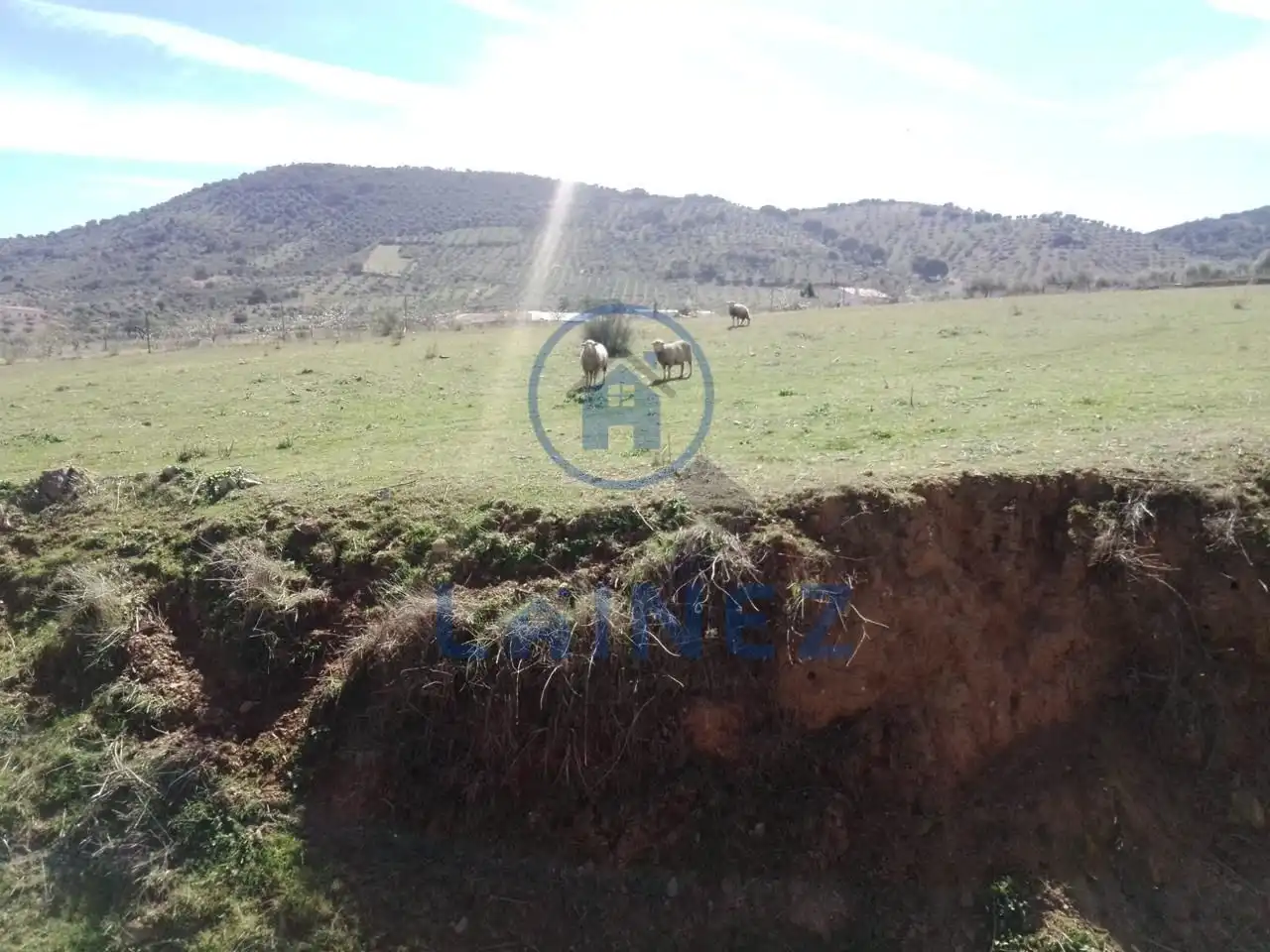 Terreny residencial en venda a Belmez, imagen 48