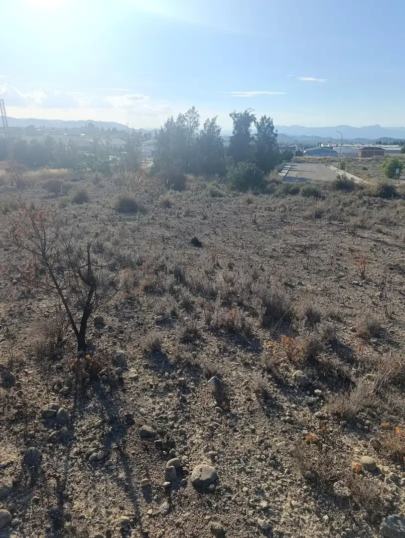 Industrial land for sale in Bullas, Murcia