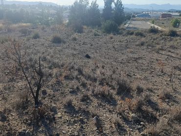 Terreno industrial en venta en Bullas