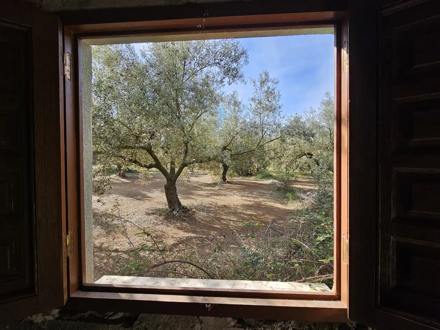 Jardín de Terreno en venta en Ulldecona