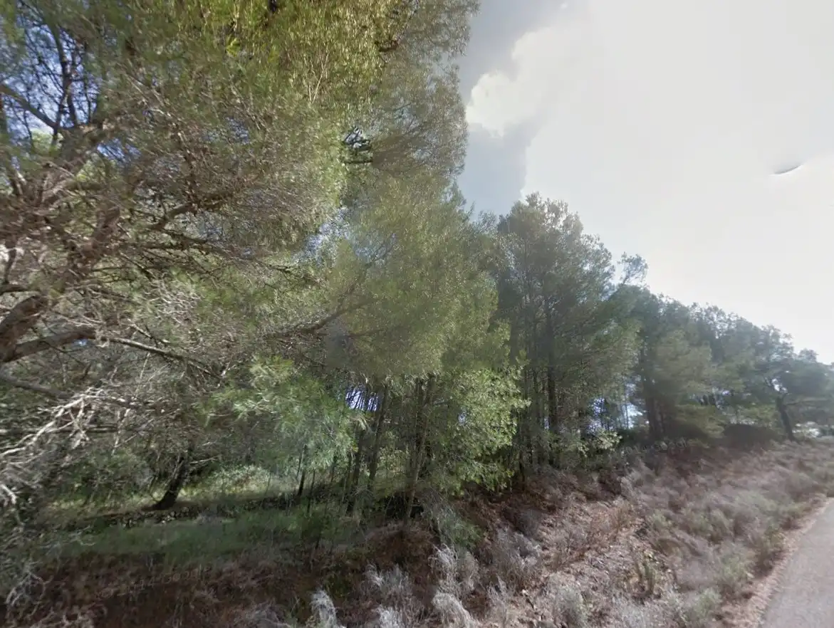 Terreno residenziale in vendita a Carrer de la Vallesa 187, imagen 28