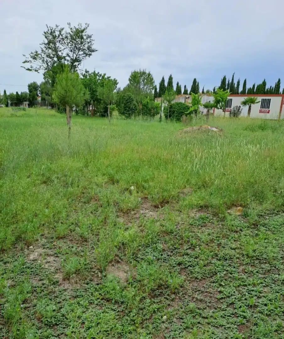 Terreno rustico in vendita a San Pablo, imagen 8