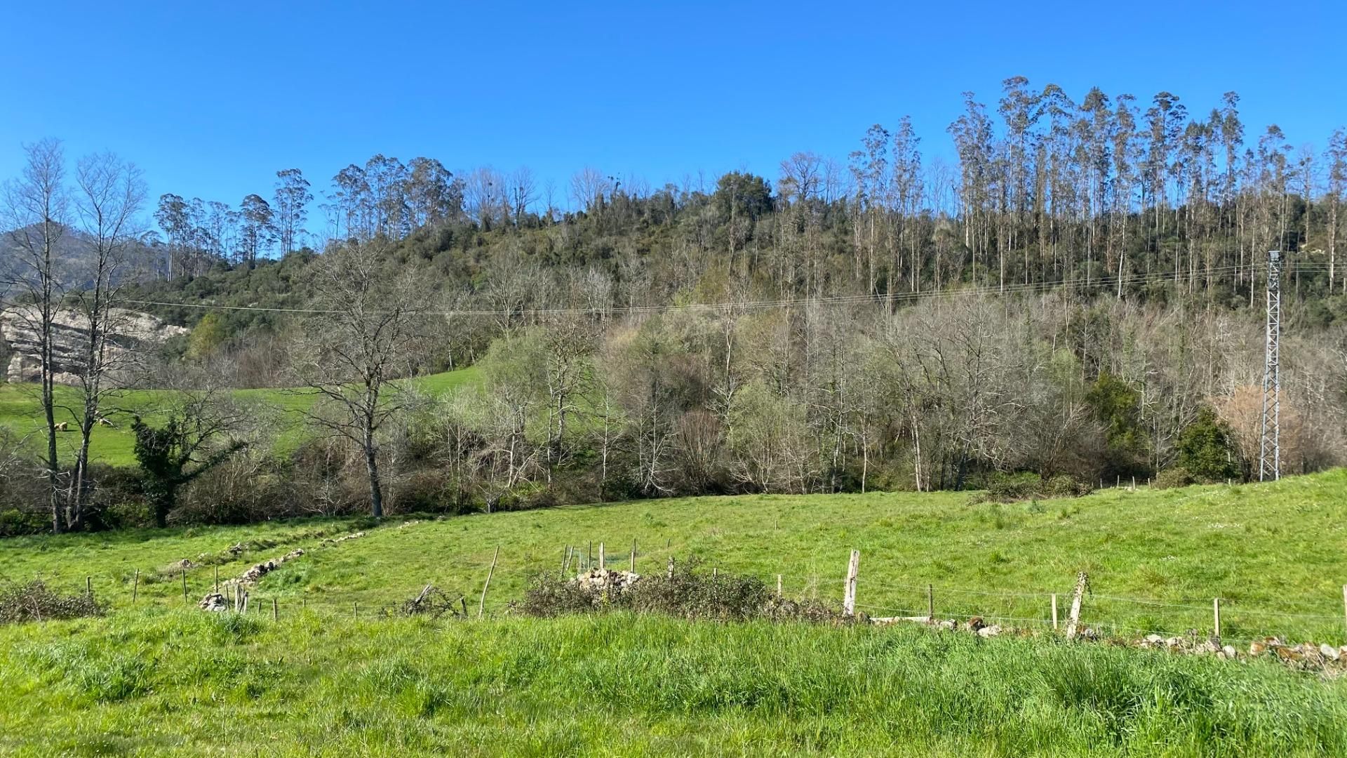 Terreno en venta en Valdáliga
