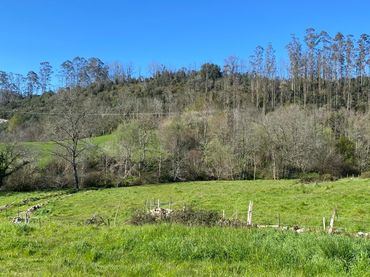 Terreno rustico in vendita a Valdáliga