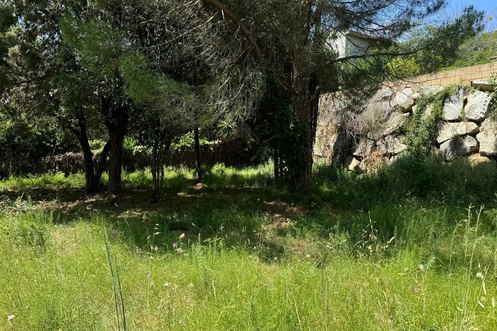 Terreny rústic en venda a Cabrera de Mar, imagen 10