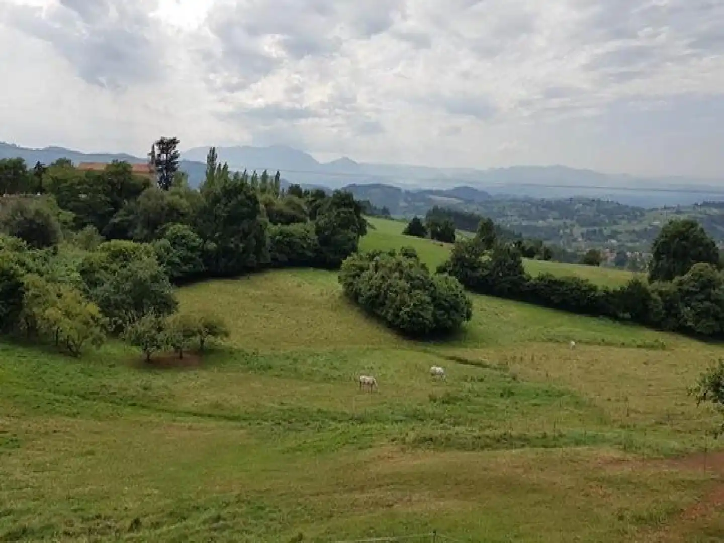 Grundstücke und Bauplätze zum Verkauf in Llanera, imagen 2