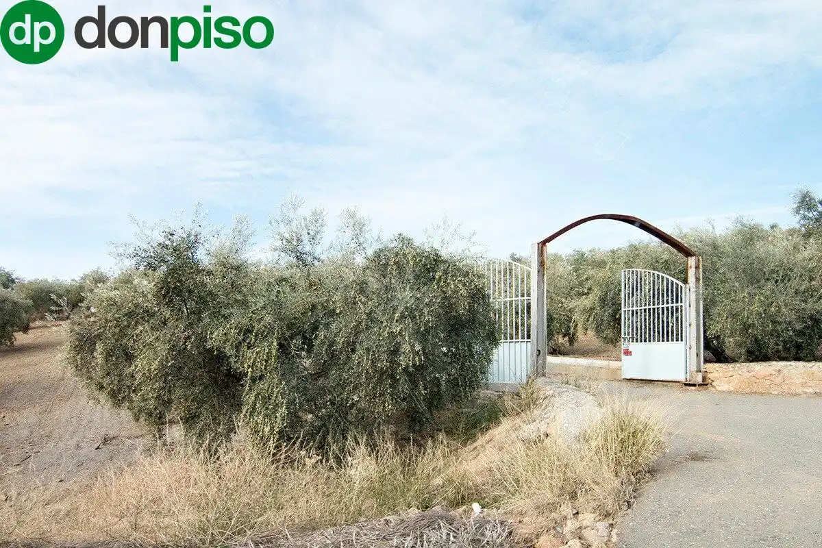 Casa rústica en venda a CORTIJO LA BARRAGANA, imagen 4