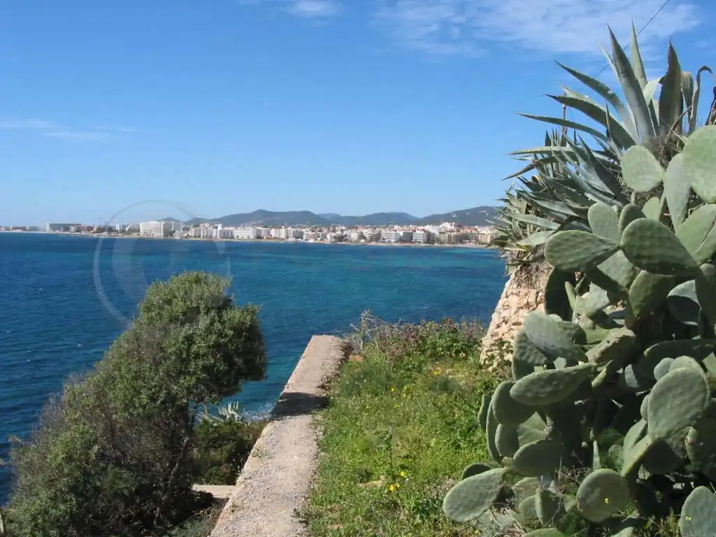 Residential for sale in Calle Ramon Muntaner, Puig des Molins