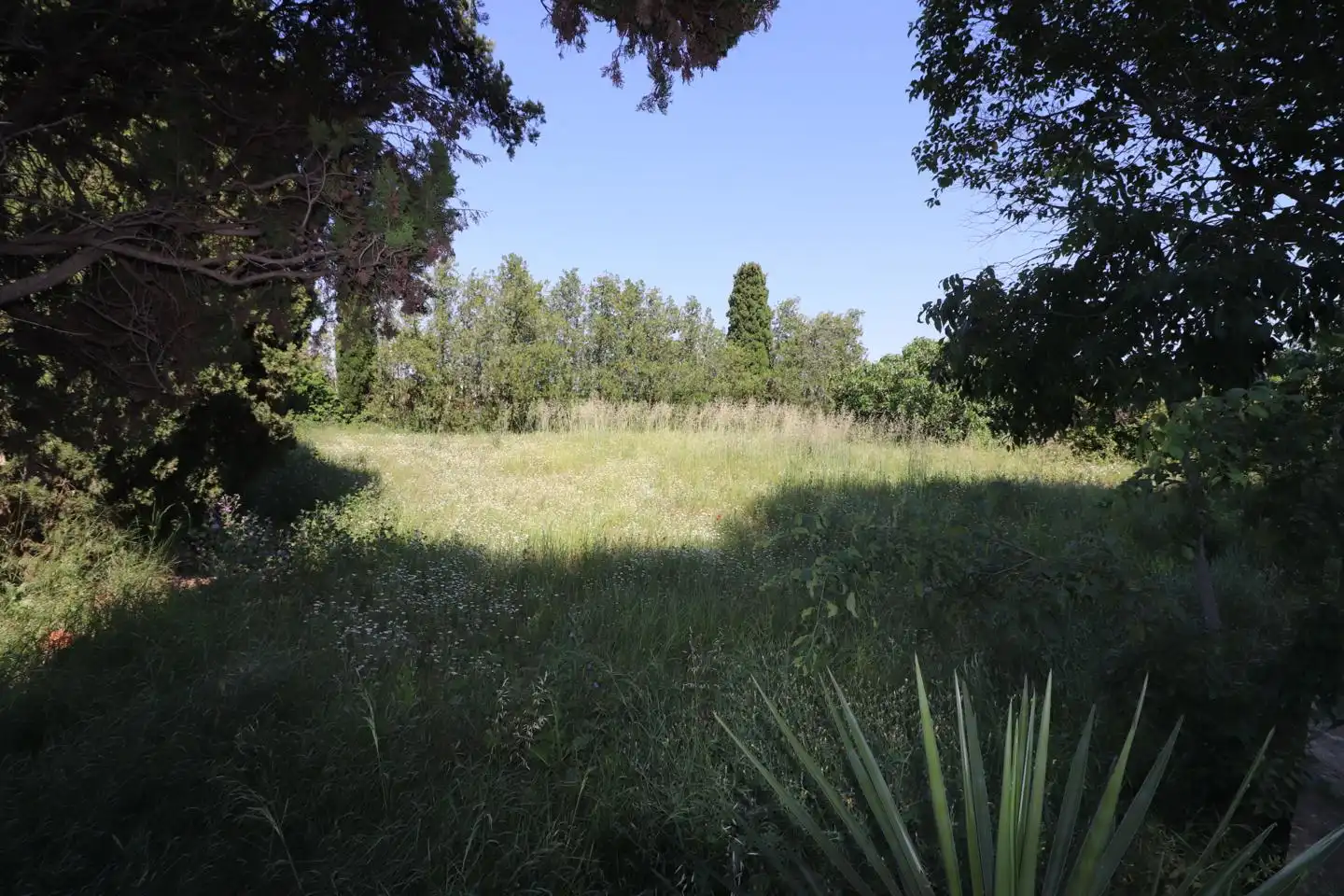 Casa amb jardí en venda a Los Toros, imagen 6