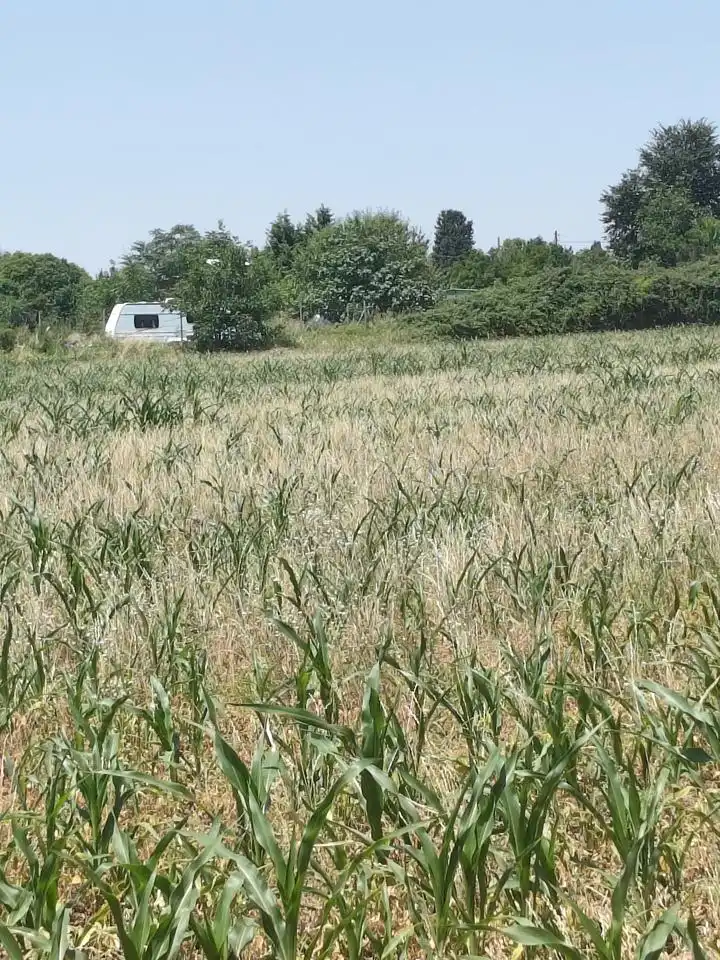Terreni e lotti in vendita a Camino de Zamoray, imagen 11