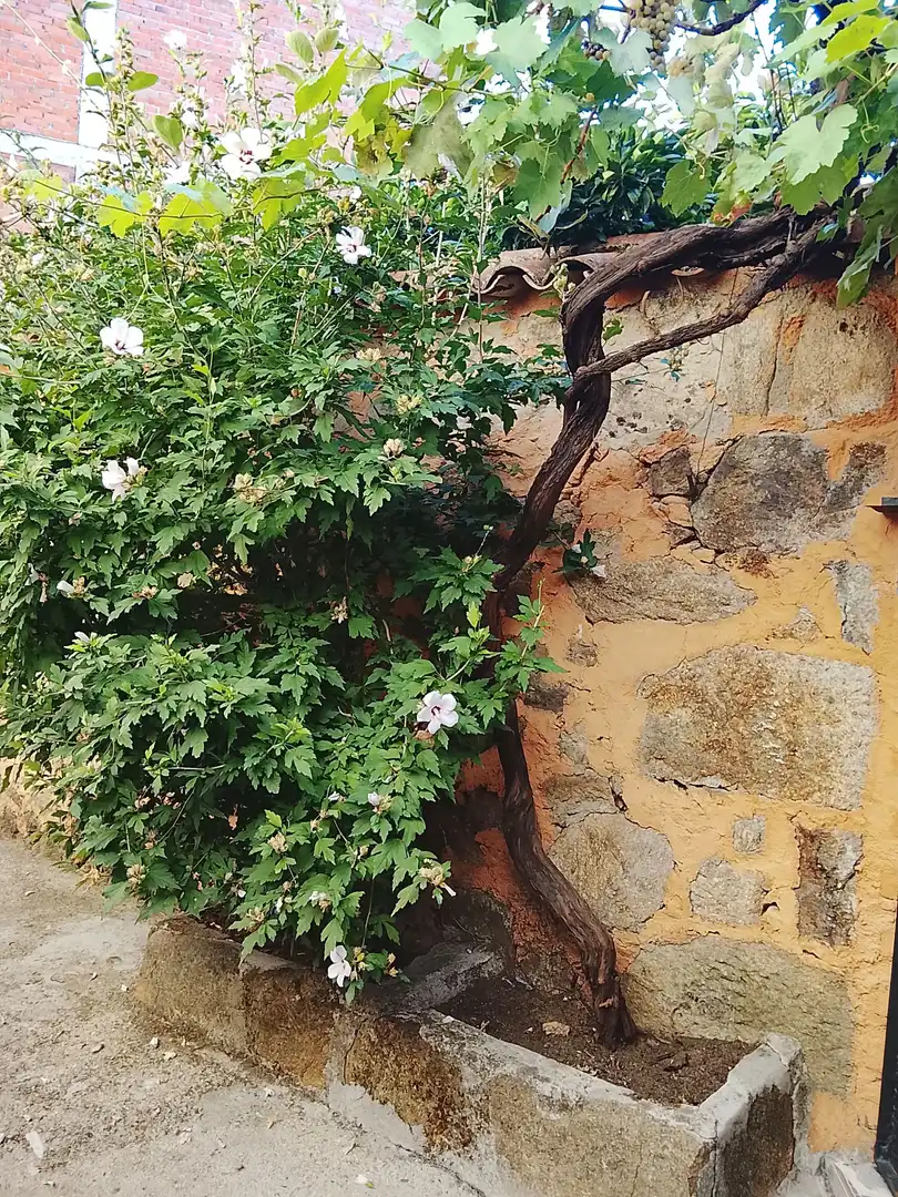 Reihenhaus mit Garten zum Verkauf in Madrigal de la Vera, imagen 3