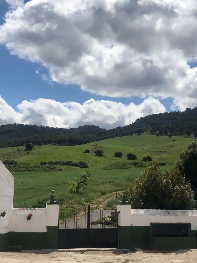 Terreno residenziale in vendita a Ardales, imagen 16