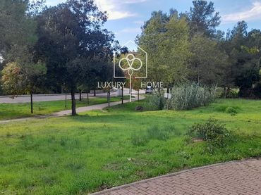 Terreno rústico en venta en Rascler