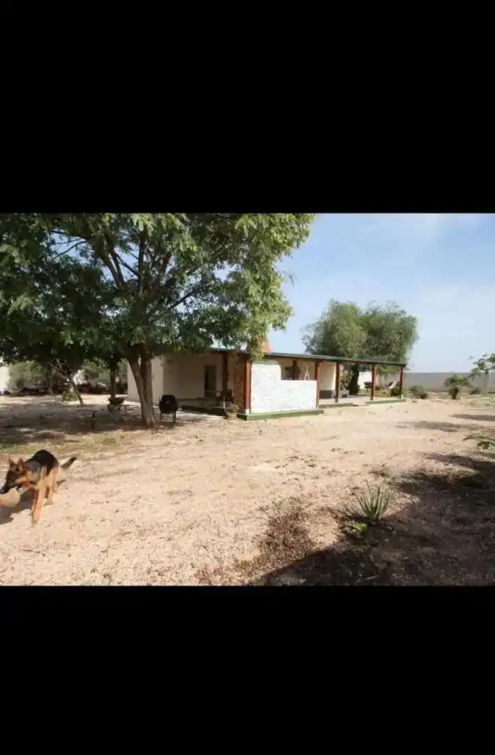 Vista exterior de Finca rústica en venda en Rojales amb Piscina