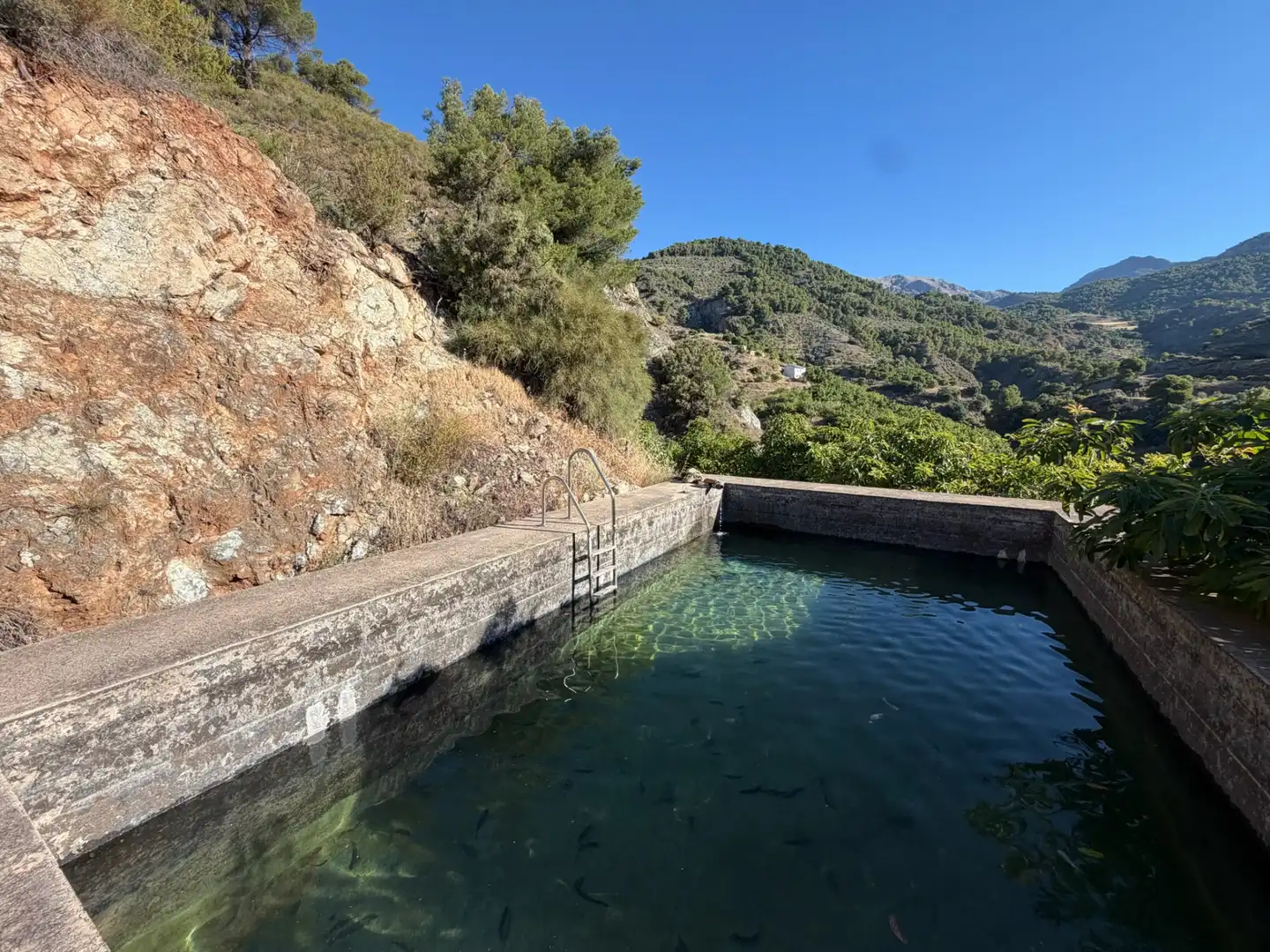 Piscina de Finca rústica en venta en Yunquera con Jardín privado, Piscina y Amueblado