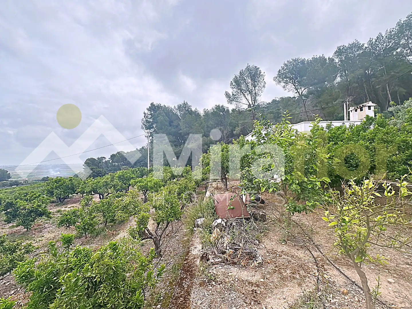 Finca rústica en venta en Pego con Jardín privado, Terraza y Amueblado