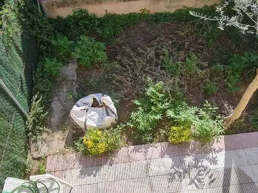 Jardín de Casa adosada en venta en Palau