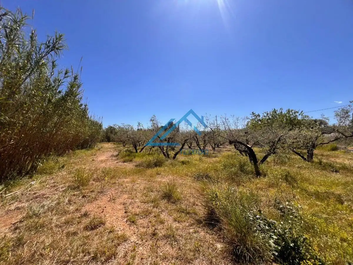 Land for sale in Vinyols i els Arcs