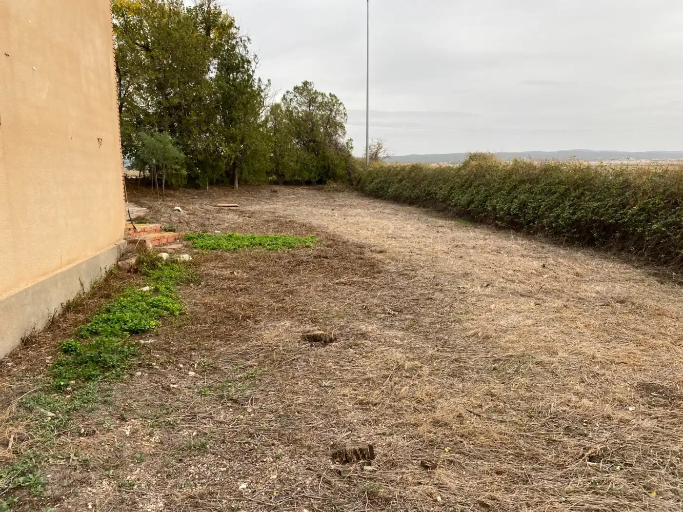 Finca rústica en venta en Monreal del Campo