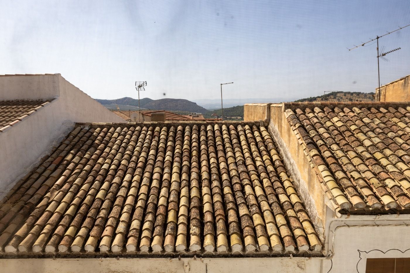 Exterior view of House or chalet for sale in Íllora