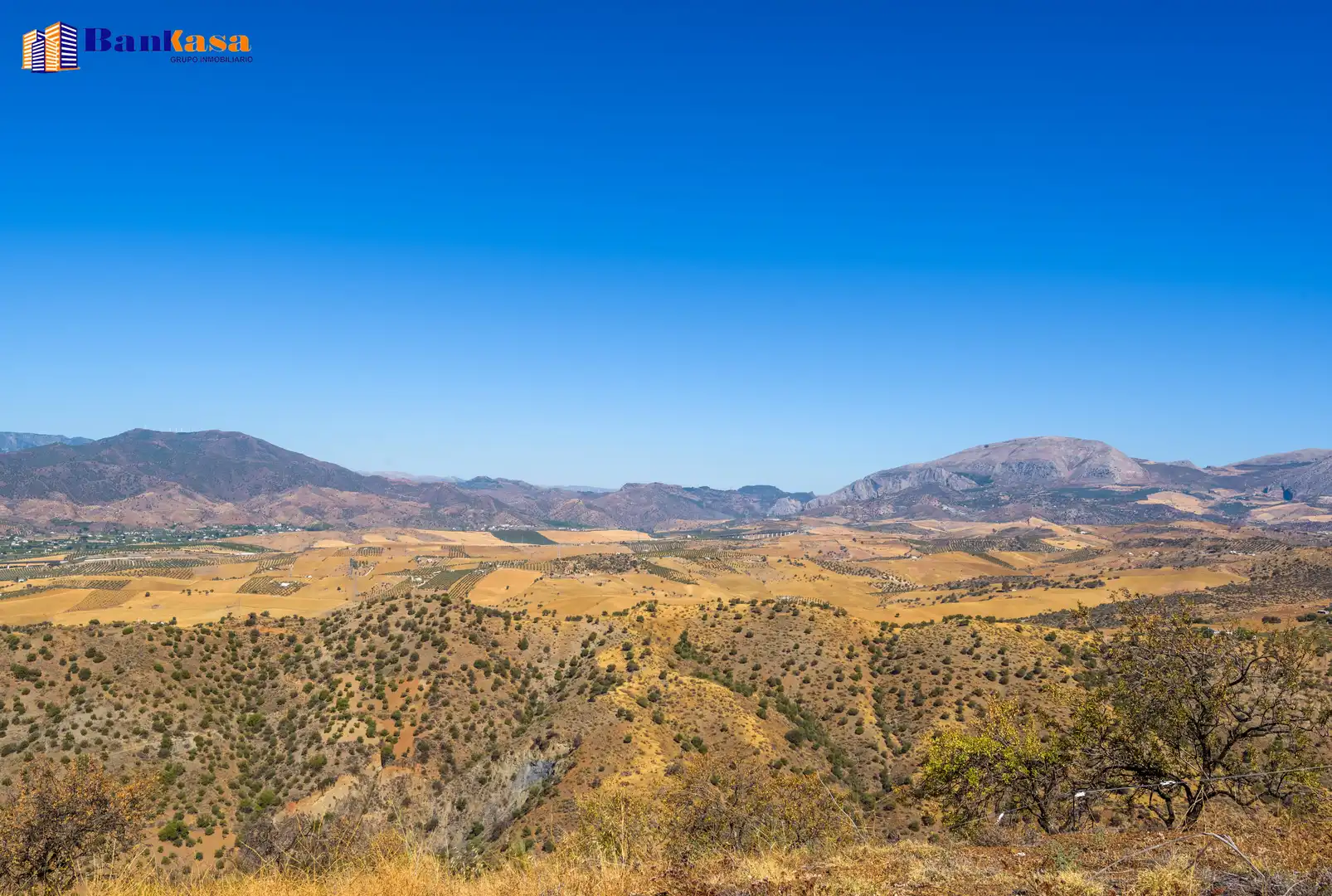 Vista exterior de Finca rústica en venta en Álora con Jardín privado y Trastero