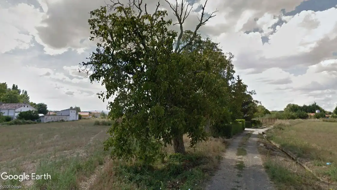 Terreni e lotti in vendita a Casalarreina, imagen 4