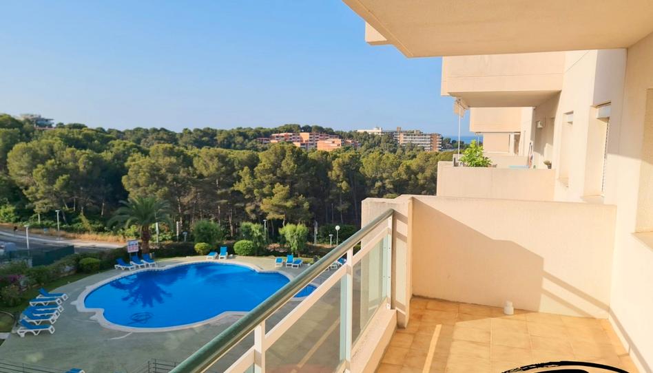 Foto 1 de Apartamento en venta en Carrer del Bosc Gran, 8, Pla de Maset - Cap de Salou, Tarragona