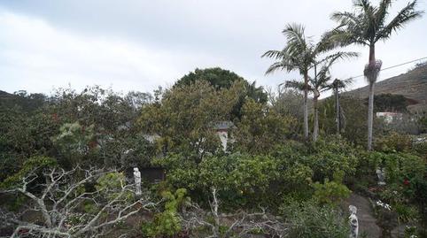Foto 2 de Finca rústica en venda a Calle la Caridad, Tacoronte - Los Naranjeros, Tacoronte