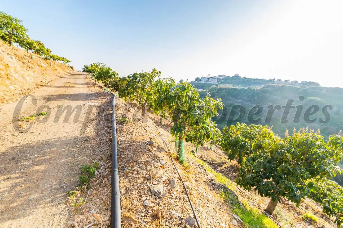 Terreny residencial en venda a Benajarafe, imagen 8