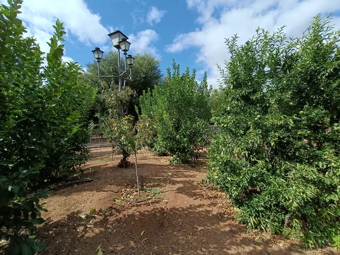 Jardín de Casa o chalet en venta en Ciudad Real con Aire acondicionado, Jardín privado y Piscina