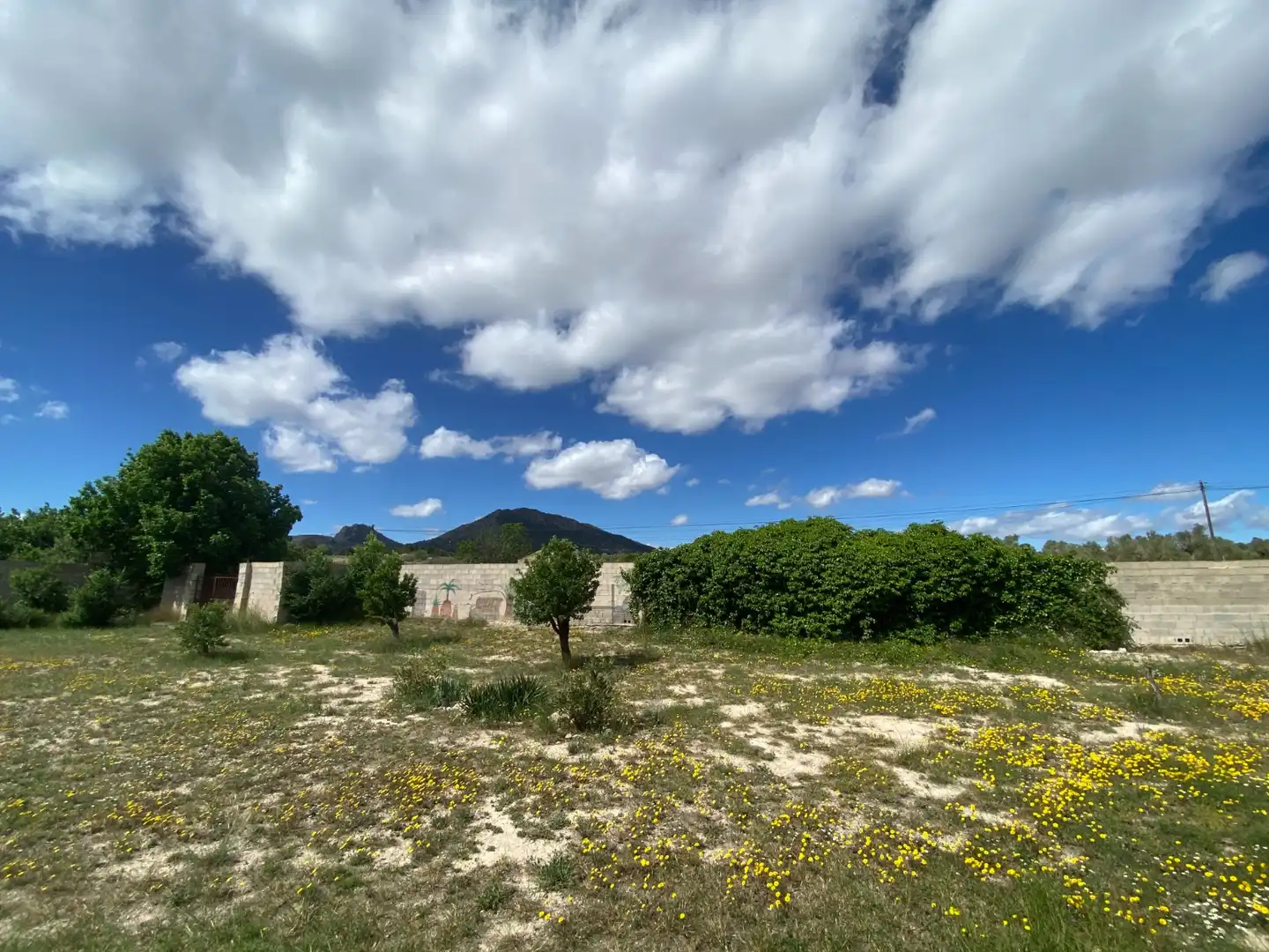 Finca rústica en venta en Sax con Aire acondicionado, Calefacción y Jardín privado