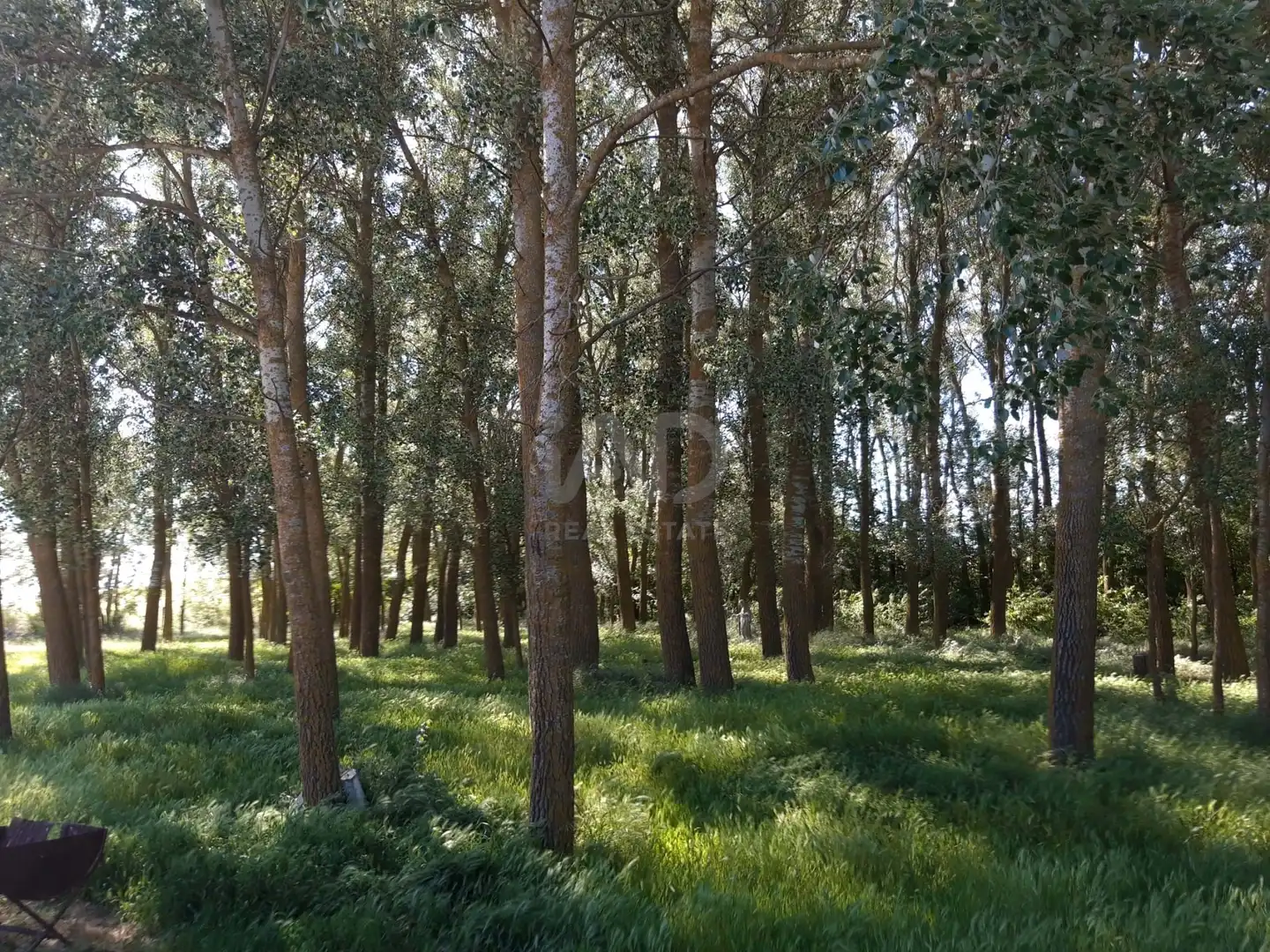 Terreno en venta en Aguilar de Campos
