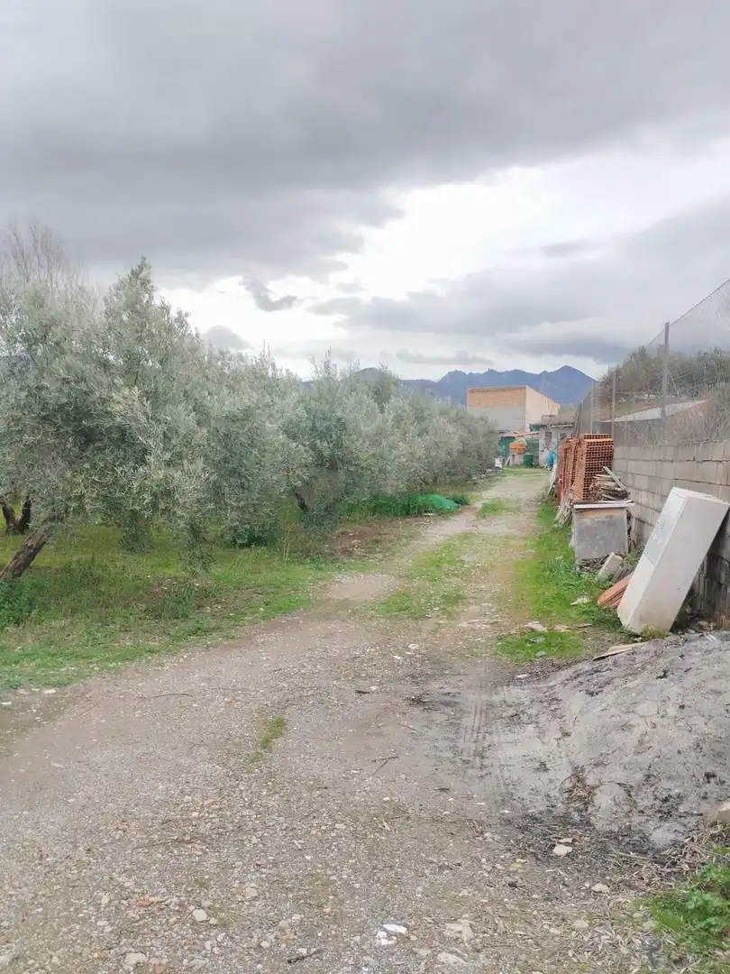 Terreni e lotti in vendita a Camino del cerro poligono 3 parcela, imagen 22