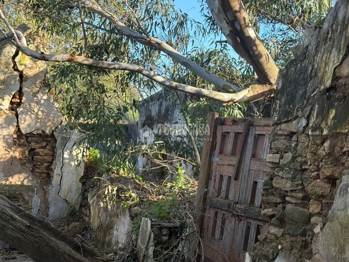 Terrain rustique à vendre à Vejer, imagen 4