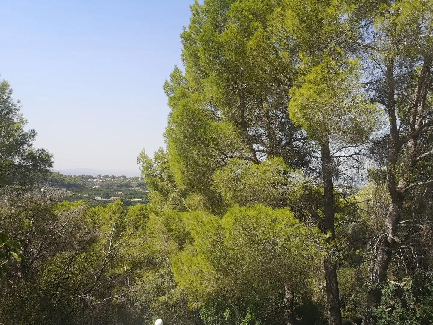 Casa o chalet en venta en Alzira con Terraza, Trastero y Piscina