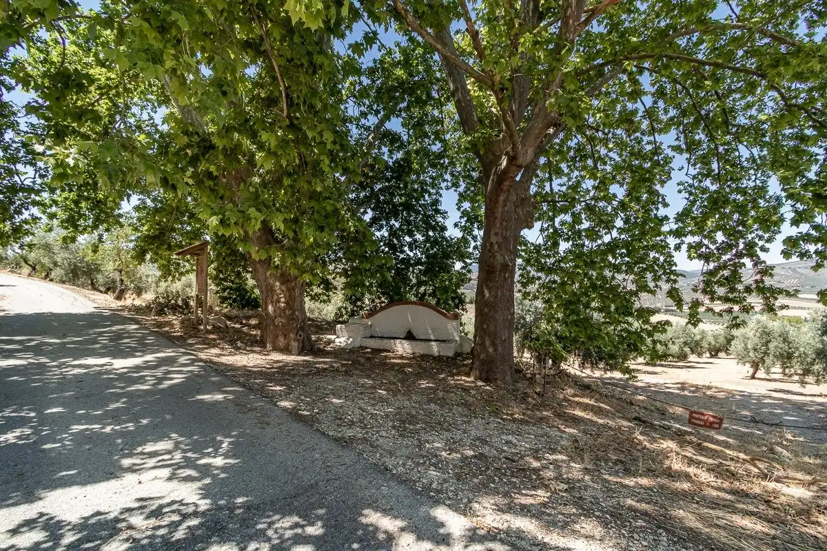 Vista exterior de Finca rústica en venta en Moclín con Piscina