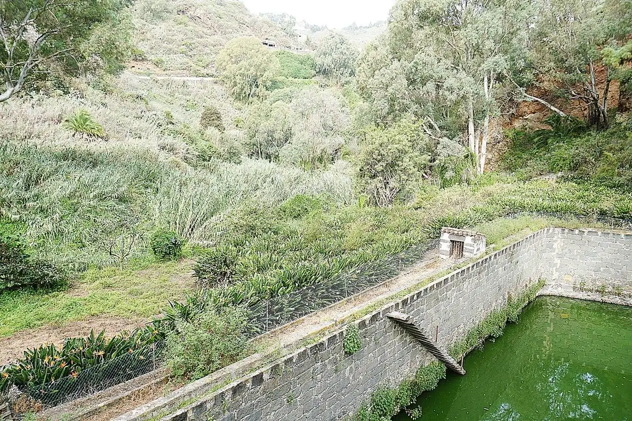Vista exterior de Finca rústica en venda en Teror amb Jardí privat i Terrassa