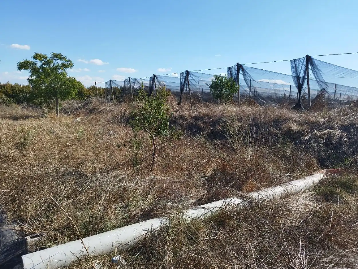 Finca rústica en venta en Puigverd de Lleida