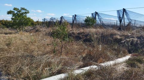 Foto 3 de Finca rústica en venta en Puigverd de Lleida, Lleida