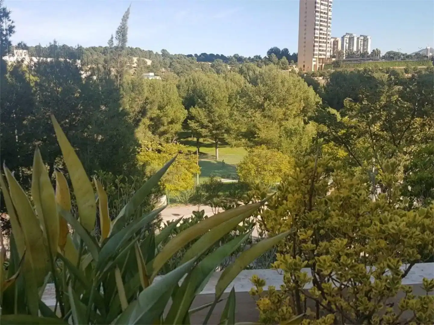 Exterior view of Flat for rent in Benidorm  with Air Conditioner and Swimming Pool