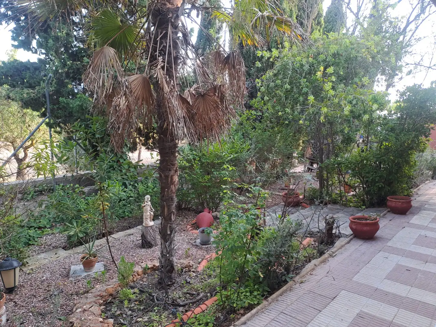 Villa avec terrasse à vendre à Camino de la Caseta Bravo, imagen 50