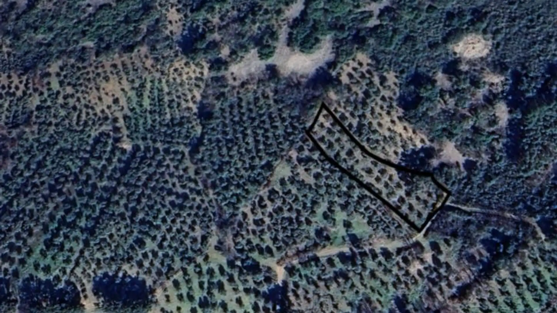 Terreno en venta en Castañar de Ibor