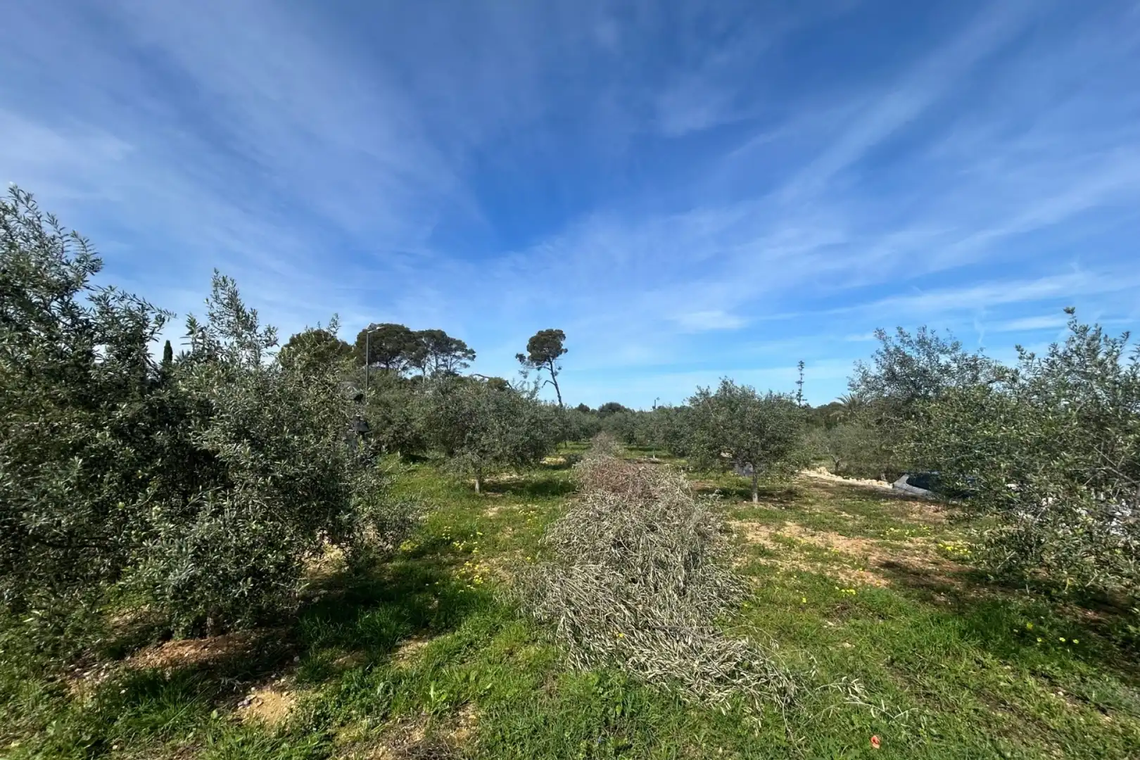 House with pool for sale in La Xara - La Sella, imagen 52