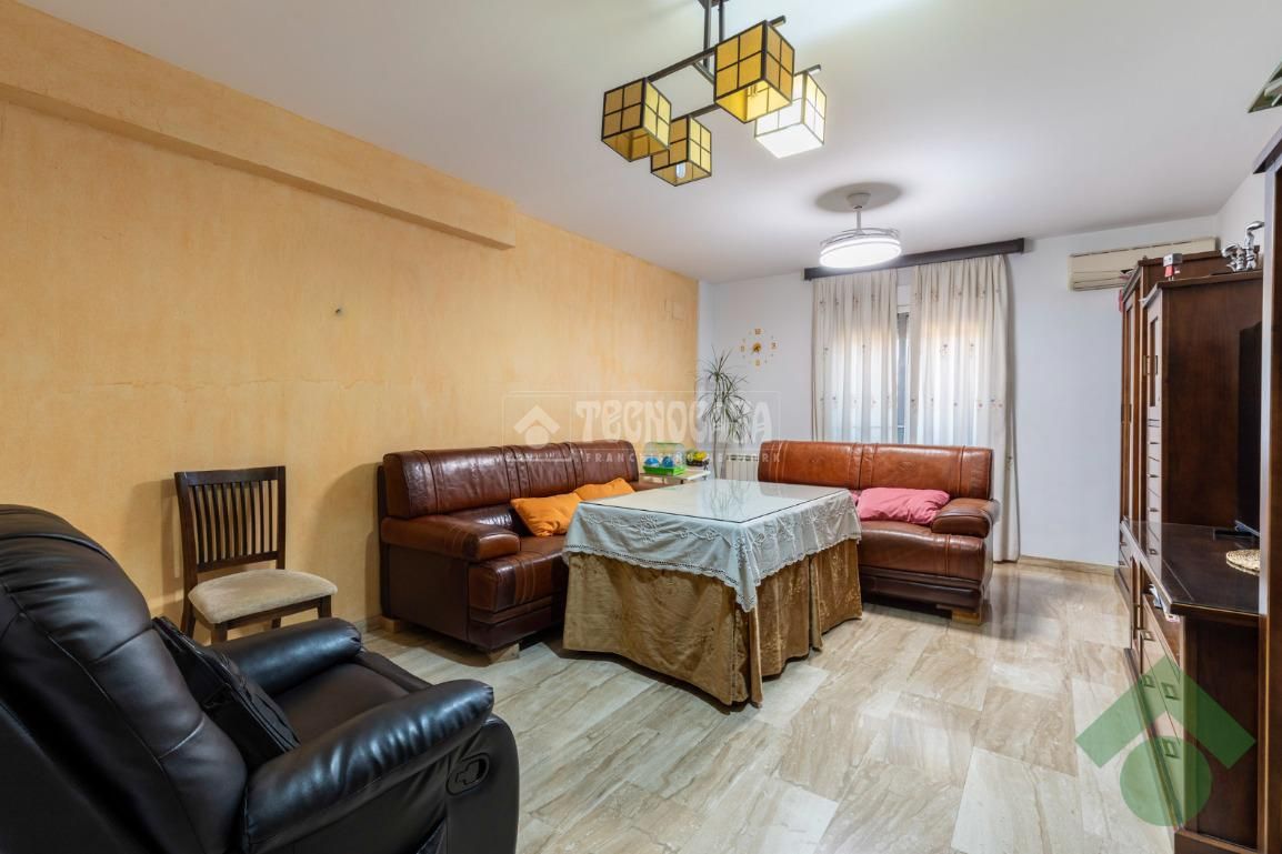 Sala d'estar de Pis en venda en Albolote amb Aire condicionat, Moblat i Balcó