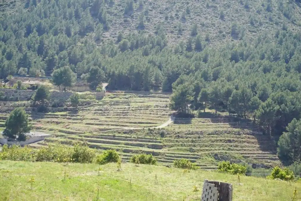 Terreny residencial en venda a Callosa d'en Sarrià