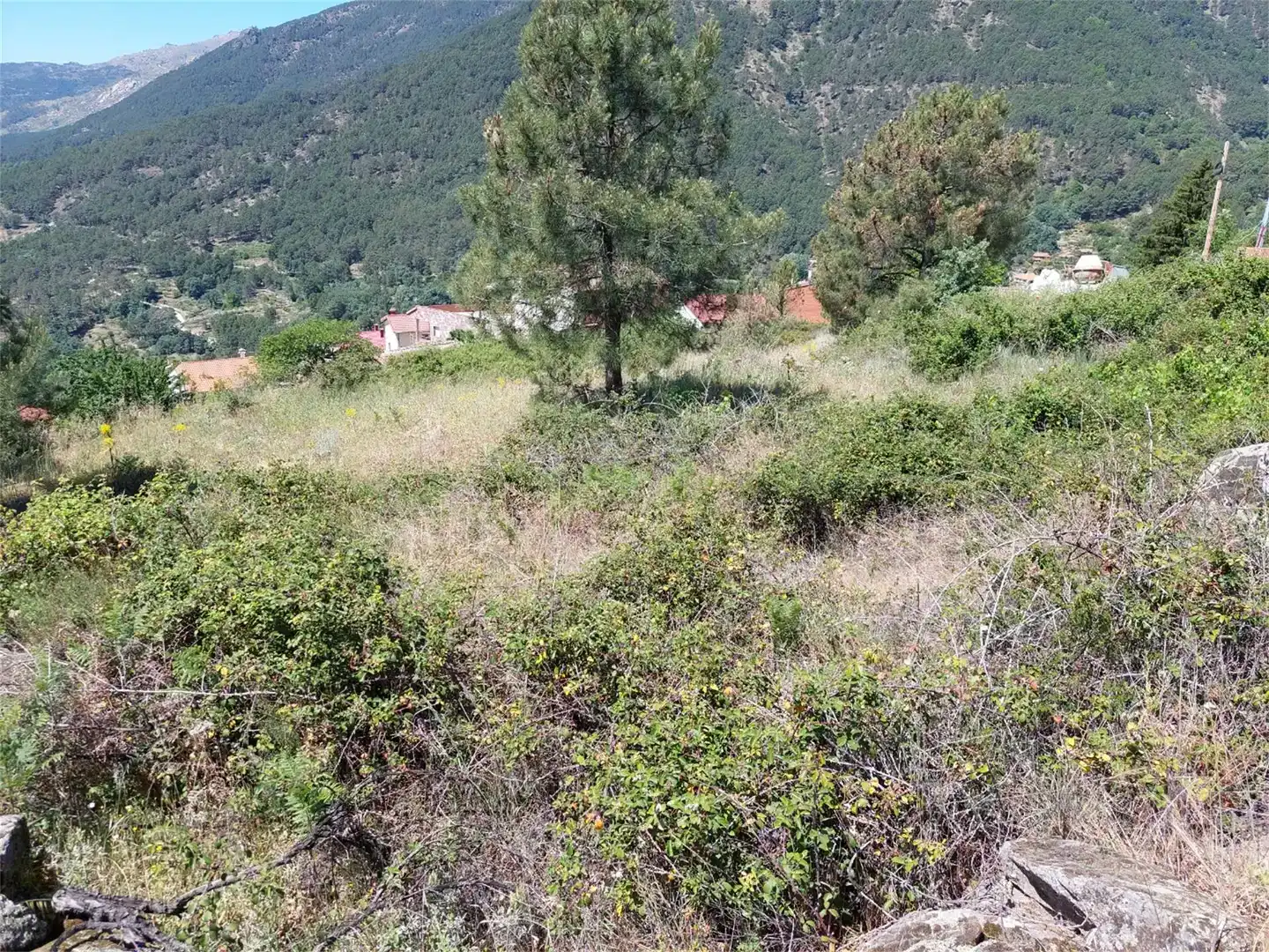 Finca rústica en venta en Mijares