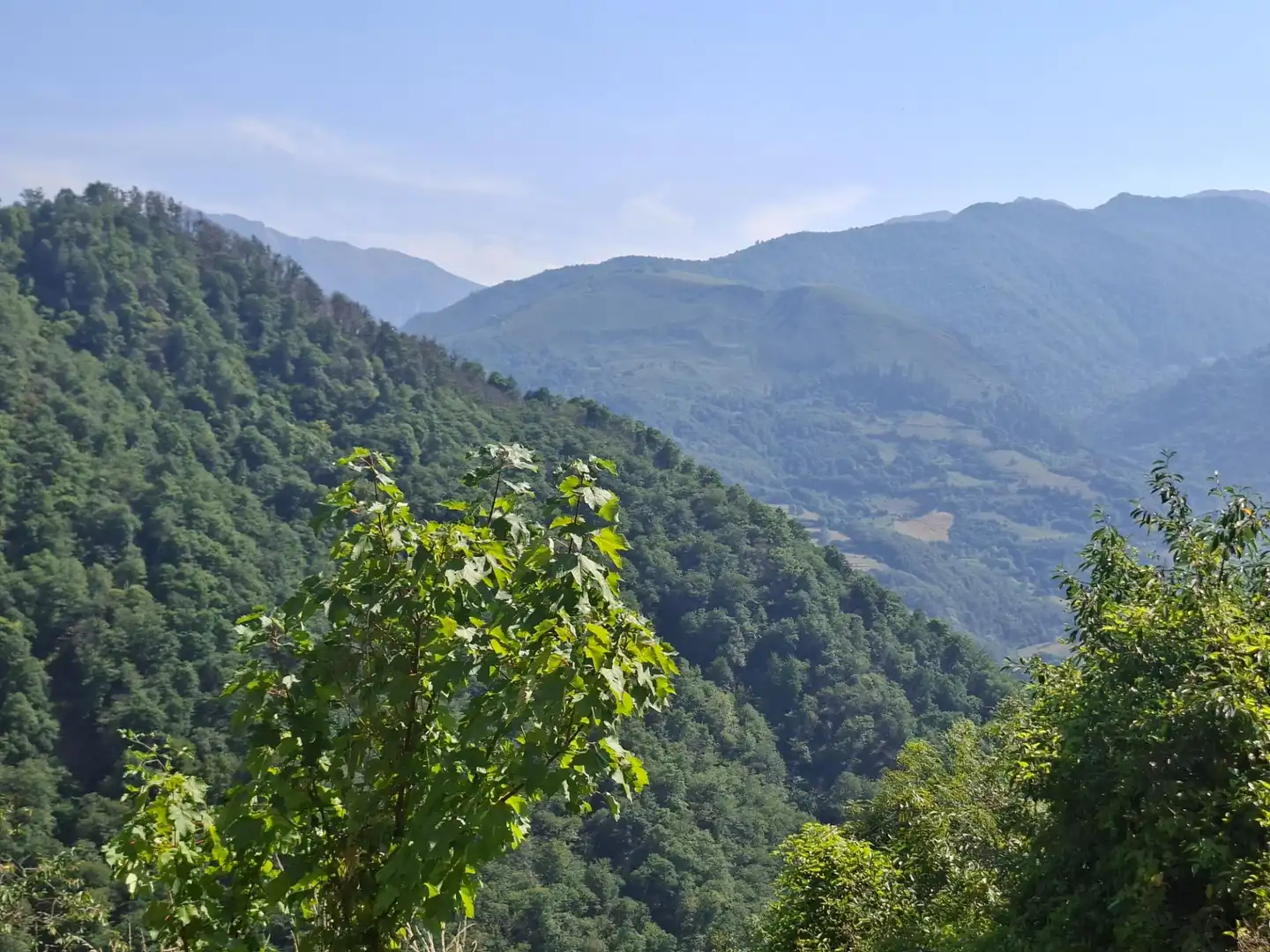 Vista exterior de Casa o xalet en venda en Quirós