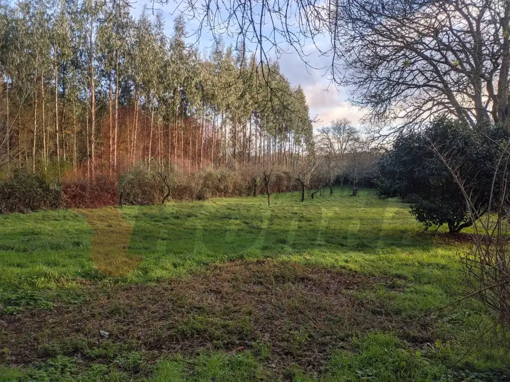 Finca rústica en venta en Parroquias del Este