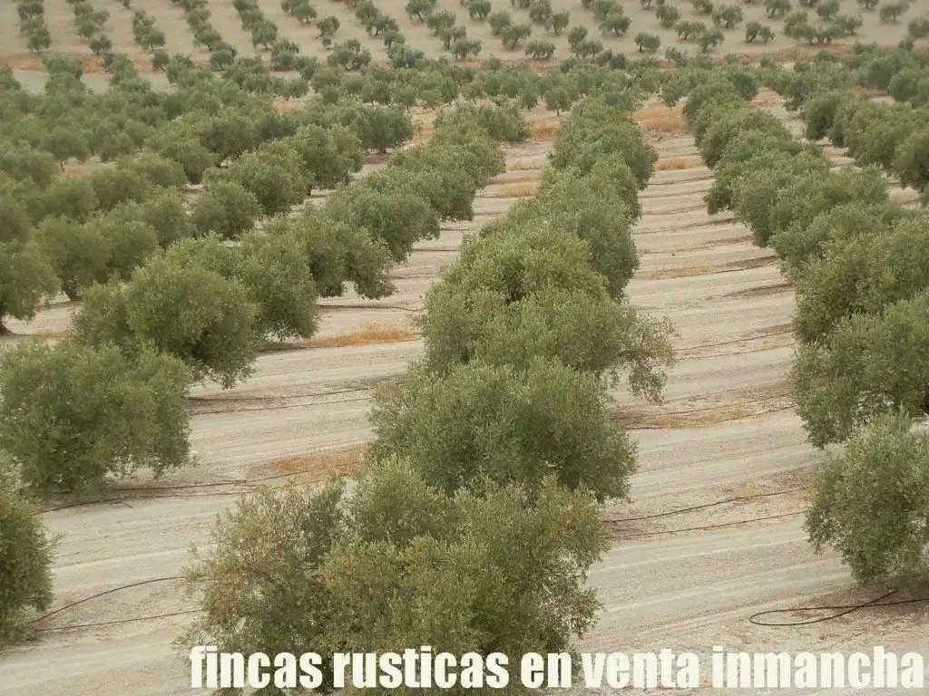 Terreni e lotti in vendita a Andújar, imagen 14